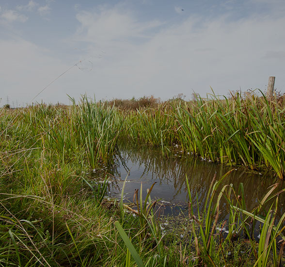 waste-water-management